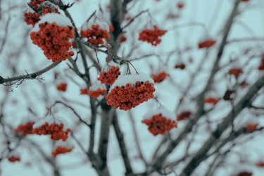 Similar image 21287731