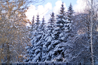 Similar image 21287736