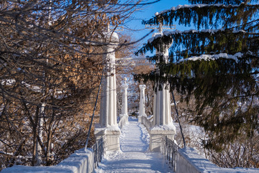 Similar image 21287737