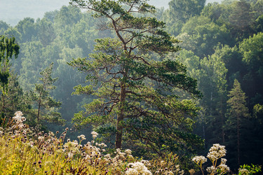 Similar image 21287743