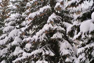 Similar image 21287748