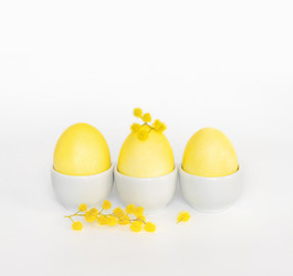 Similar image 21287089