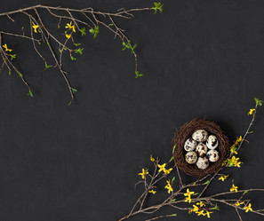 Similar image 21287094