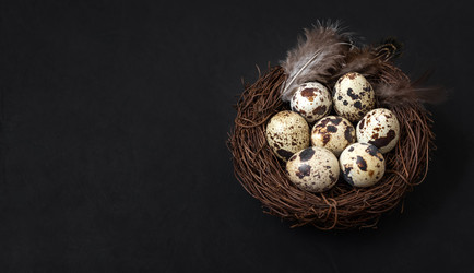 Similar image 21287095