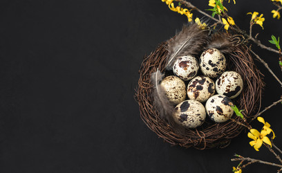 Similar image 21287096