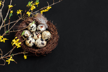 Similar image 21287097