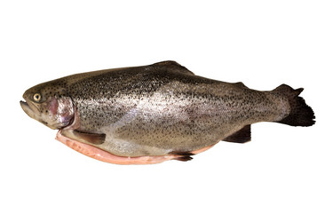 Similar image 21286804