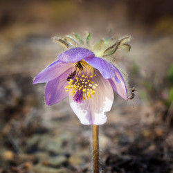 Similar image 21286995