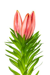 Similar image 21287944