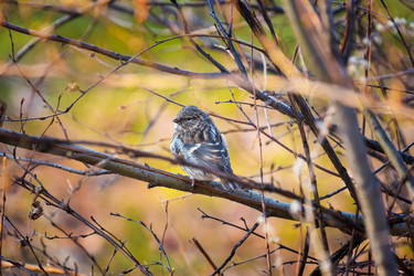 Similar image 21287946