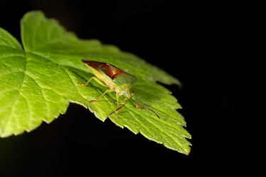 Similar image 21287948