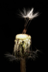 Similar image 21287949