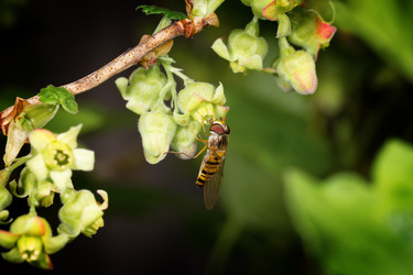 Similar image 21287950