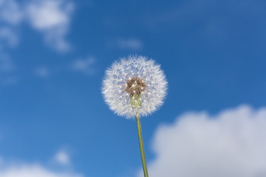 Similar image 21287954