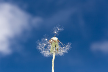 Similar image 21287955