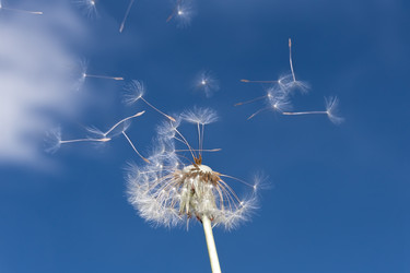 Similar image 21287956