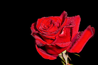 Similar image 21287957