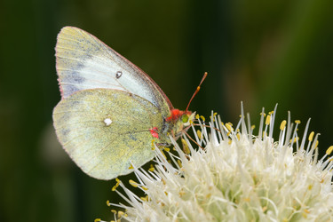 Similar image 21287958