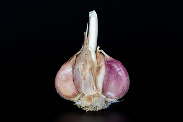 Similar image 21287912