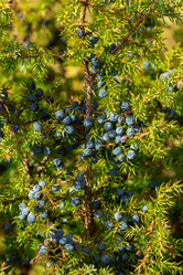 Similar image 21287913