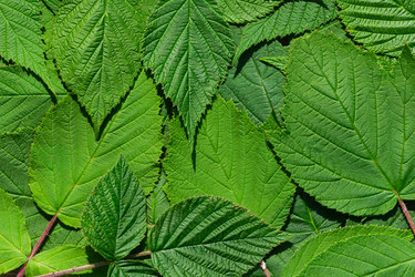 Similar image 21287917