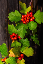 Similar image 21287918