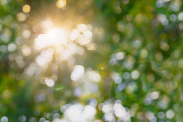 Similar image 21287961