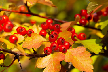 Similar image 21287967