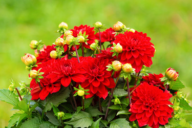 Similar image 21287968