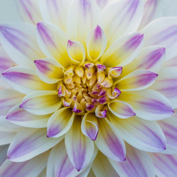 Similar image 21287971