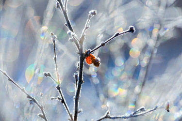 Similar image 21287979