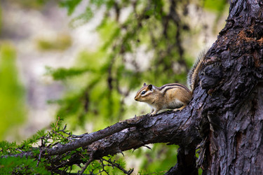 Similar image 21287995