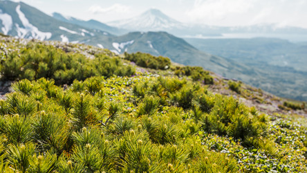 Similar image 21287176