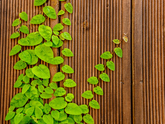 Similar image 21287184