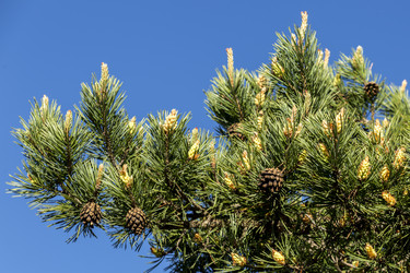 Similar image 21287191