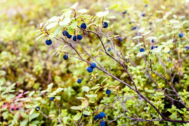 Similar image 21287198