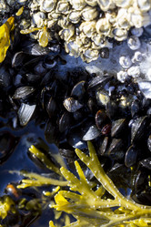 Similar image 21287199