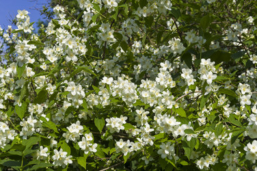 Similar image 21287753