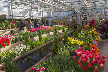 Similar image 21287758