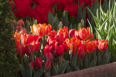 Similar image 21287759