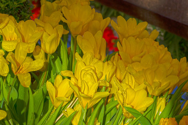 Similar image 21287760