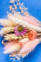 Similar image 21287299