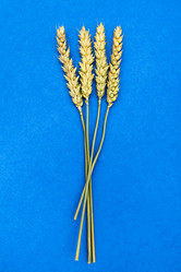 Similar image 21287312