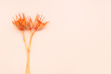 Similar image 21287206