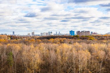 Similar image 21287240