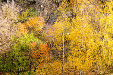 Similar image 21287244