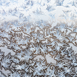 Similar image 21287250