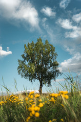 Similar image 21287565