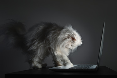 Similar image 21287214