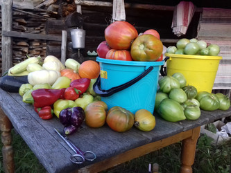 Similar image 21287568